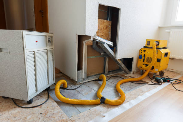 Mold Remediation for Rental Properties in Dewey, OK